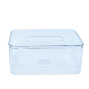 Fridge Container