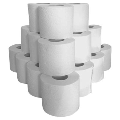 Paper Toilet Roll Pack of 100 Pieces