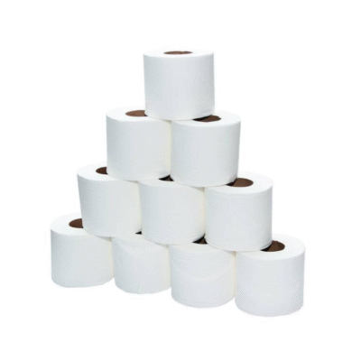 Paper Toilet Roll Pack of 10 Pieces