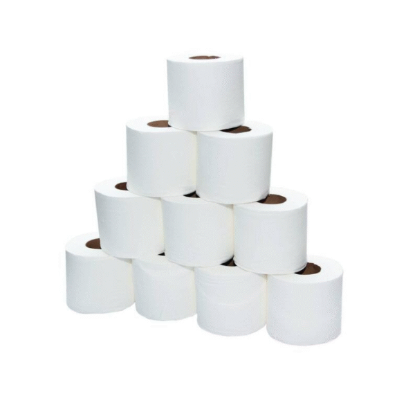 Paper Toilet Roll Pack of 10 Pieces