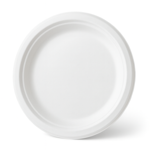 Bio-Degradable Plate 10" | 1x100 Pcs