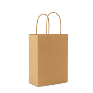 Brown Paper Bags with Twisted Handles | Multiple Sizes