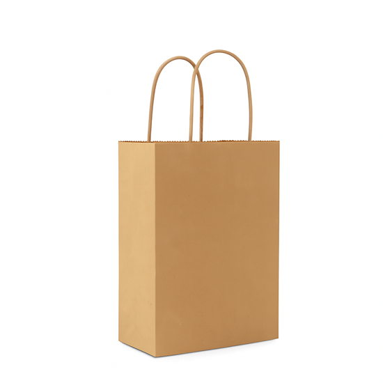 Brown Paper Bags with Twisted Handles | Multiple Sizes