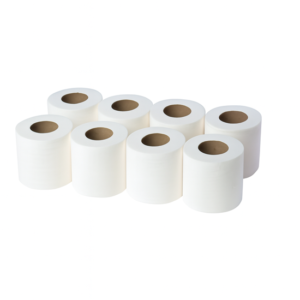 Paper Toilet Roll 300 Sheets | 1x10 Rolls
